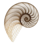 separador caracol